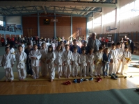 Članovi Judo kluba Judokan osvojili 10 medalja na Međunarodnom turniru u Pisarovini