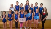 Gimnastičarke Sokola osvojile 3. mjesto ekipno na natjecanju  u Vukovaru