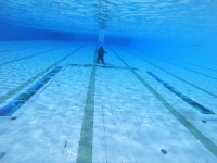 Na bazenima u Velikoj otvorena prva izložba podvodnih fotografija Ronilačkog kluba Požega