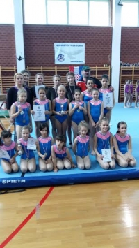 Požeške gimnastičarke treće u Slavonskom Brodu
