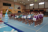 U Požegi održan 56. Kup Slavonije i Baranje u muškoj i ženskoj sportskoj gimnastici