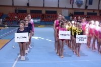 U Grabriku održan Kup Slavonije i Baranje u gimnastici