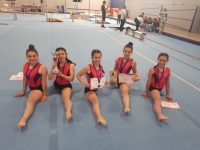 Gimnastičarke Sokola nastupile na 2. kolu Kupa Hrvatske u C programu u Osijeku